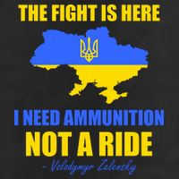 The Fight Is Here I Need Ammunition, Not A Ride Support Ukraine Beanie
