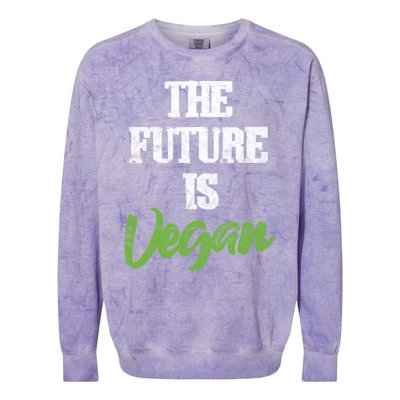 The Future Is Vegan Vegetarian Plantgiftbased Diet Veganism Funny Gift Colorblast Crewneck Sweatshirt