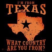 Texas Flag IM From Texas What Country Are You From 16 in Basic Backpack