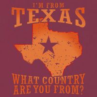 Texas Flag IM From Texas What Country Are You From 16oz Travel Tumbler