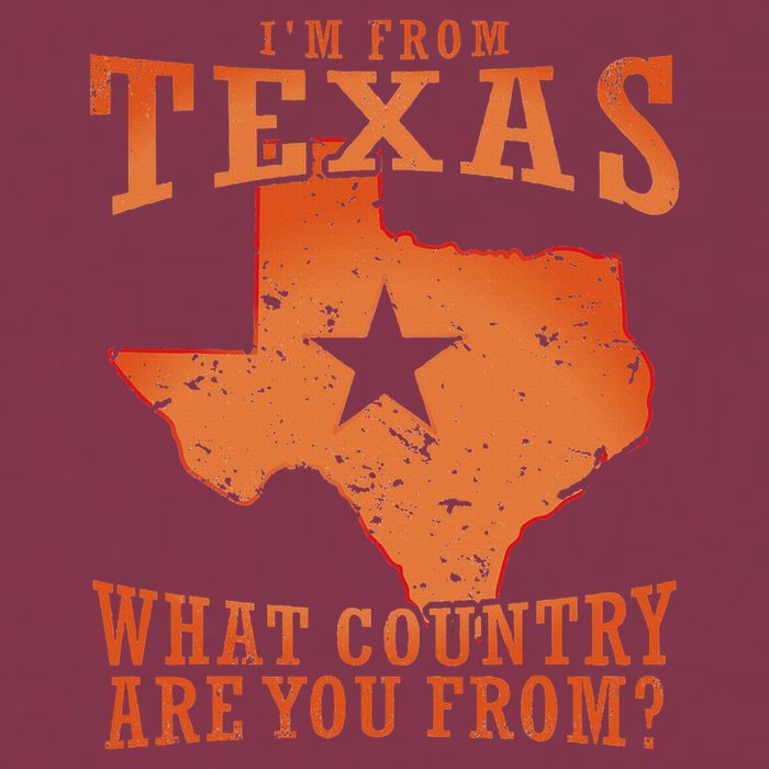 Texas Flag IM From Texas What Country Are You From 16oz Travel Tumbler