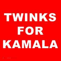 Twinks For Kamala 2024 Lgbtq+ Pride Support Kamala Harris T-Shirt