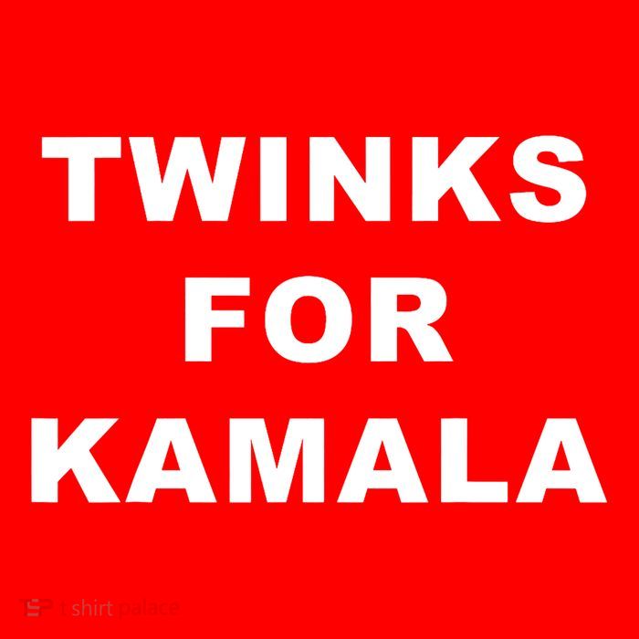 Twinks For Kamala 2024 Lgbtq+ Pride Support Kamala Harris Flatbill Hat