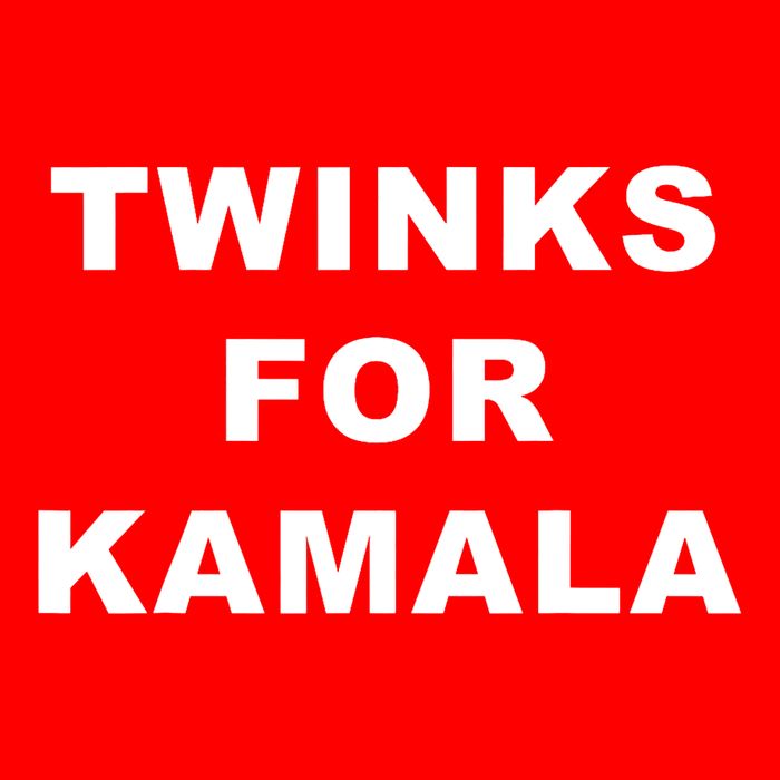 Twinks For Kamala 2024 Lgbtq+ Pride Support Kamala Harris 16 in Basic Backpack