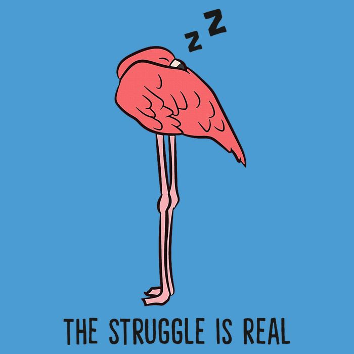 Tired Flamingo Lazy Flamingo The Struggle Is Real Tie Dye Hoodie