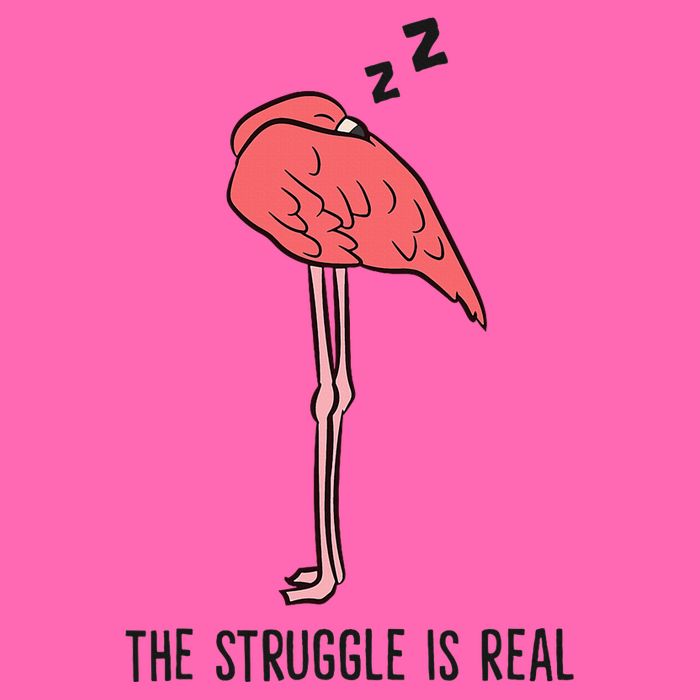 Tired Flamingo Lazy Flamingo The Struggle Is Real Stripe Pom Pom Beanie