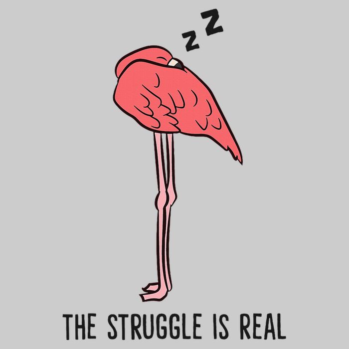 Tired Flamingo Lazy Flamingo The Struggle Is Real Tie-Dye T-Shirt