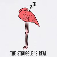 Tired Flamingo Lazy Flamingo The Struggle Is Real T-Shirt
