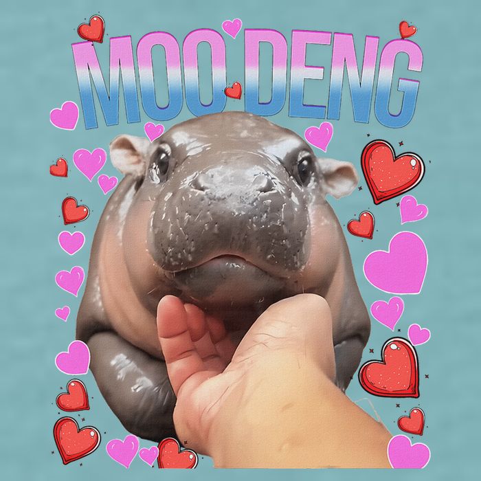 The Famous Moo Deng Pygmy Baby Hippo Moo Deng Cute Moodeng Sueded Cloud Jersey T-Shirt
