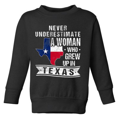 Texas Flag Map Vintage Texas Toddler Sweatshirt
