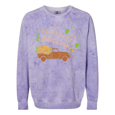 Thanksgiving Family Motif Gift Harvest Blessing Gift Colorblast Crewneck Sweatshirt