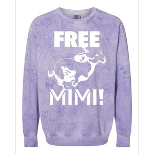 The Free Mimi Colorblast Crewneck Sweatshirt