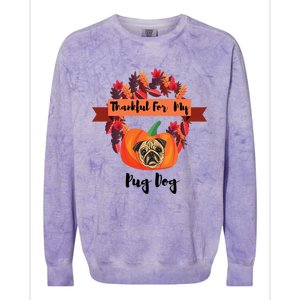 Thankful For My Pug Dog Happy Thanksgiving Pug Dog Family Great Gift Colorblast Crewneck Sweatshirt