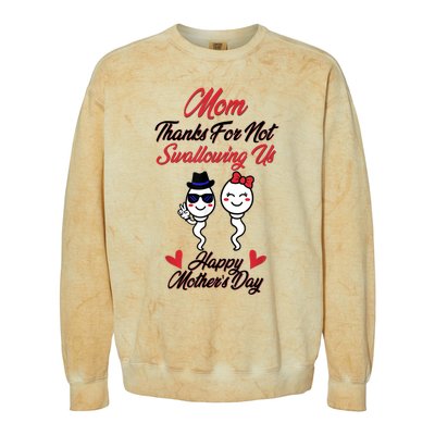 Thanks For Not Swallowing Us Happy Mother's Day Colorblast Crewneck Sweatshirt