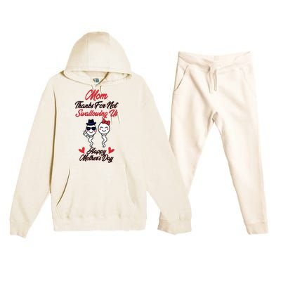 Thanks For Not Swallowing Us Happy Mother's Day Premium Hooded Sweatsuit Set