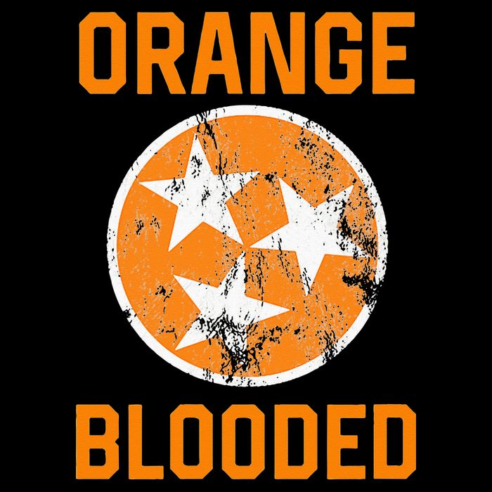 Tennessee Fan Orange Blooded Vol Sports Fan State Flag TN Womens T-Shirt