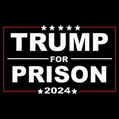 Trump For Prison 2024 Support Trump 4th Of July T-Shirt