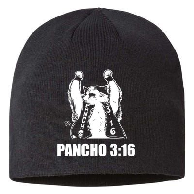 Todd Ferguson Pancho 3 16 Sustainable Beanie