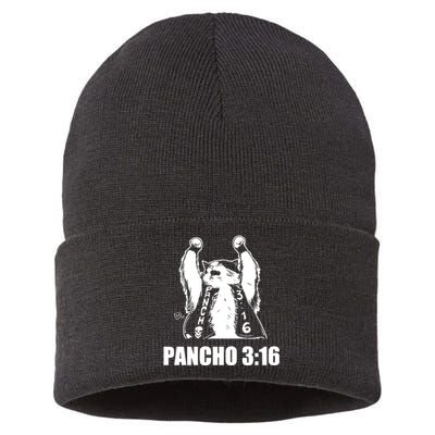 Todd Ferguson Pancho 3 16 Sustainable Knit Beanie