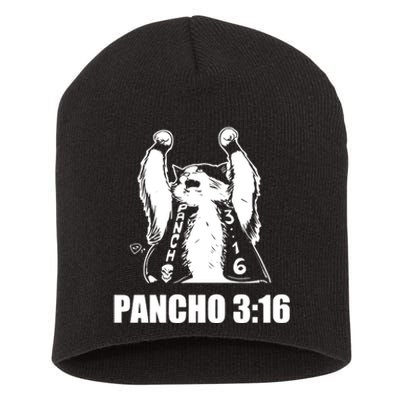 Todd Ferguson Pancho 3 16 Short Acrylic Beanie