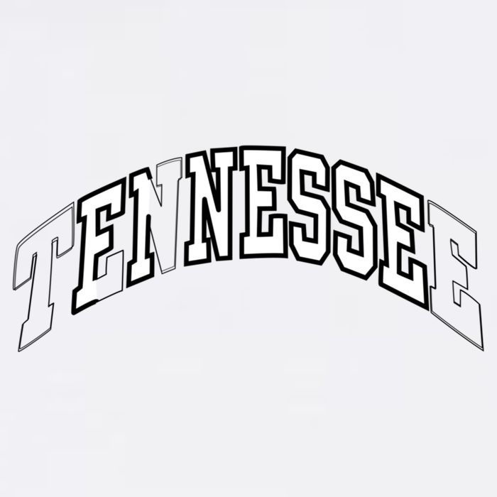 Tennessee Finesse Premium Gift (4 Color Options) Doggie Tank