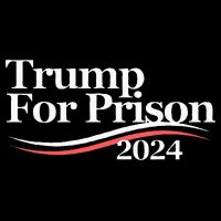 Trump For Prison 2024 Cropped Pullover Crew