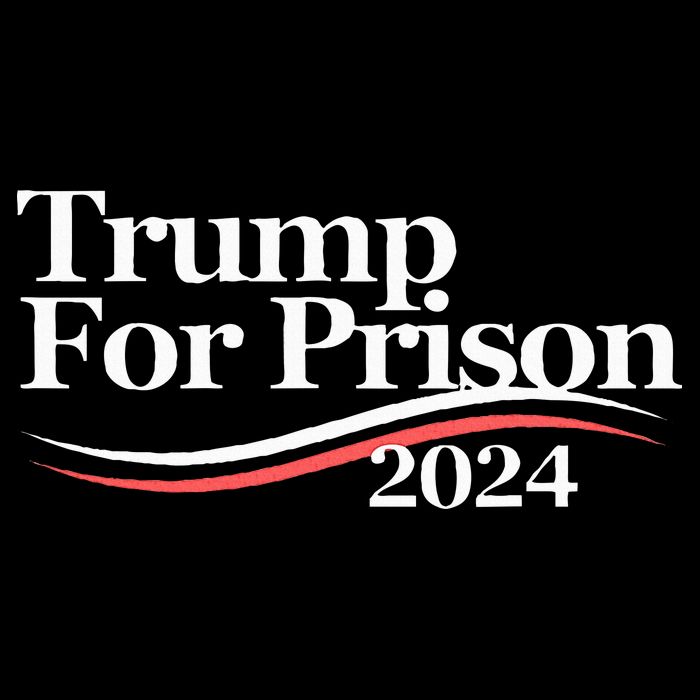 Trump For Prison 2024 Cropped Pullover Crew