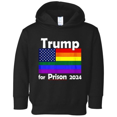 Trump For Prison 2024 Toddler Hoodie