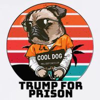 Trump For Prison Classic . Cool Comfort Performance Bucket Hat