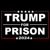 Trump For Prison 2024 Support Trump 4th Of July Cropped Pullover Crew