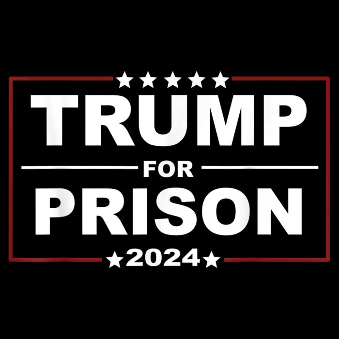 Trump For Prison 2024 Support Trump 4th Of July Cropped Pullover Crew