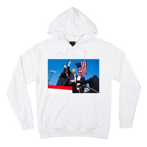 Trump Fist Pump Assassination Attempt Picture 2024 Hoodie