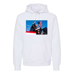 Trump Fist Pump Assassination Attempt Picture 2024 Premium Hoodie