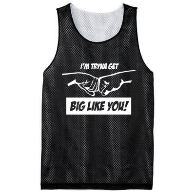 Team Full Rom IM Tryna Get Big Like You Mesh Reversible Basketball Jersey Tank
