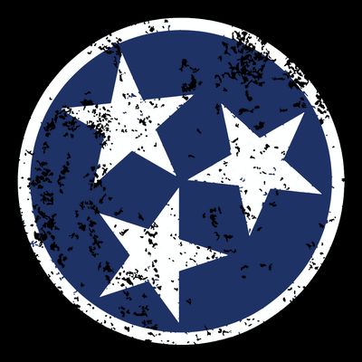 Tennessee Flag Star Logo Volunteer State Nashville T T-Shirt