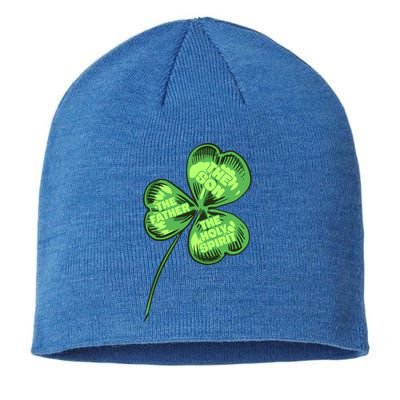 The Father Son Holy Spirit Shamrock St Patrick Day Gift Sustainable Beanie