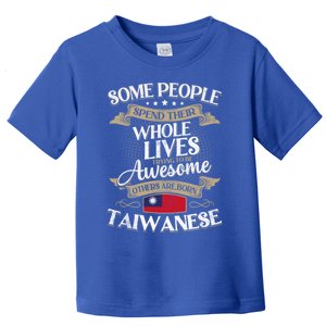 Taiwan Flag Souvenirs For Taiwaneses And Gift Toddler T-Shirt