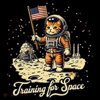 Training For Space Astronaut in Training Cat Lover Wool Snapback Cap