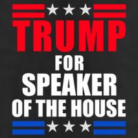 Trump For Speaker Of The House Adult Drive Performance Visor