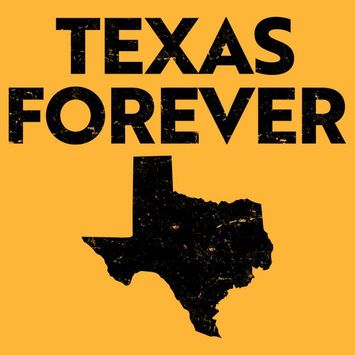 Texas Forever Texas State Sustainable Beanie