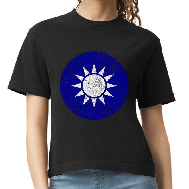 Taiwan Flag Taiwanese Emblem Roundel Taipei Gift Comfort Colors Boxy T-Shirt