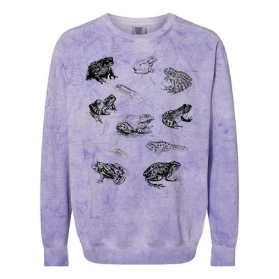 Tadpole Frog Toad Collage For Frog Lovers Hunters Colorblast Crewneck Sweatshirt