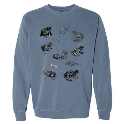 Tadpole Frog Toad Collage For Frog Lovers Hunters Garment-Dyed Sweatshirt