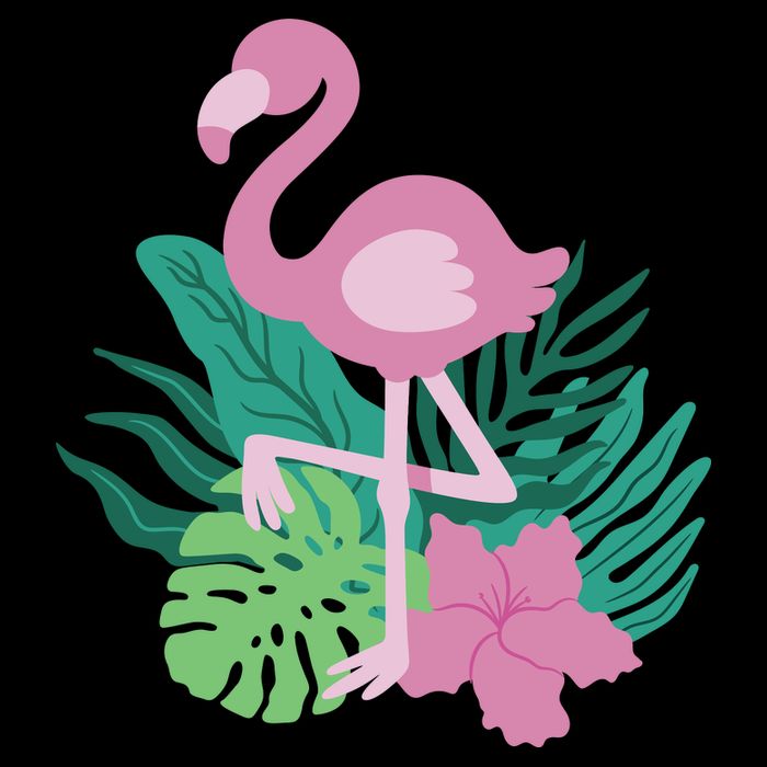 Tropical Flamingo Sweatshirt