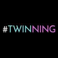 Twinning Funny Twins Matching Fraternal Or Identical Flat Bill Trucker Hat