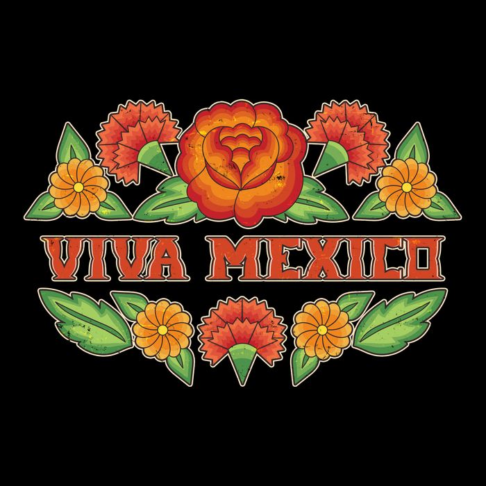 Traditional Floral Viva Mexico Kids T-Shirt