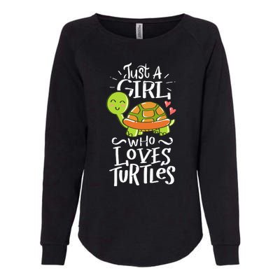 Turtle For Who Love Turtles Sea Animal Pet Lover Gift Womens California Wash Sweatshirt