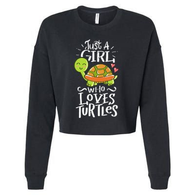 Turtle For Who Love Turtles Sea Animal Pet Lover Gift Cropped Pullover Crew