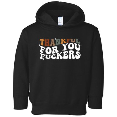 Thankful For You Fuckers Retro Vintage Toddler Hoodie