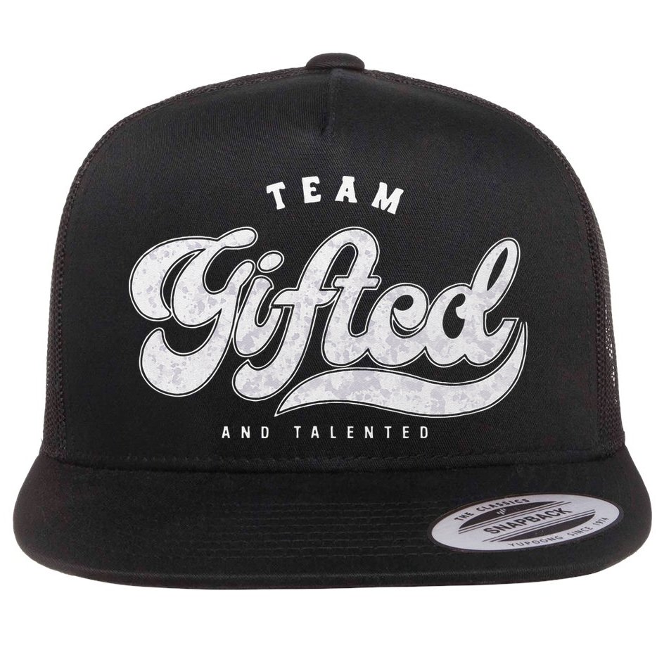 Team Gifted And Talented Exceptional Student Teacher Smart Flat Bill Trucker Hat